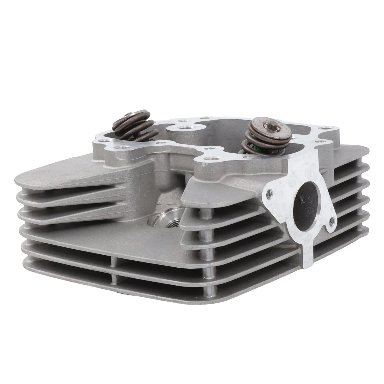 Cylinder Head & Cover for Honda TRX250EX SporTrax250 (2002–2014)