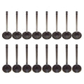 Set of 16 Intake & Exhaust Valves Kit for Avalon Camry Highlander RAV4 L4