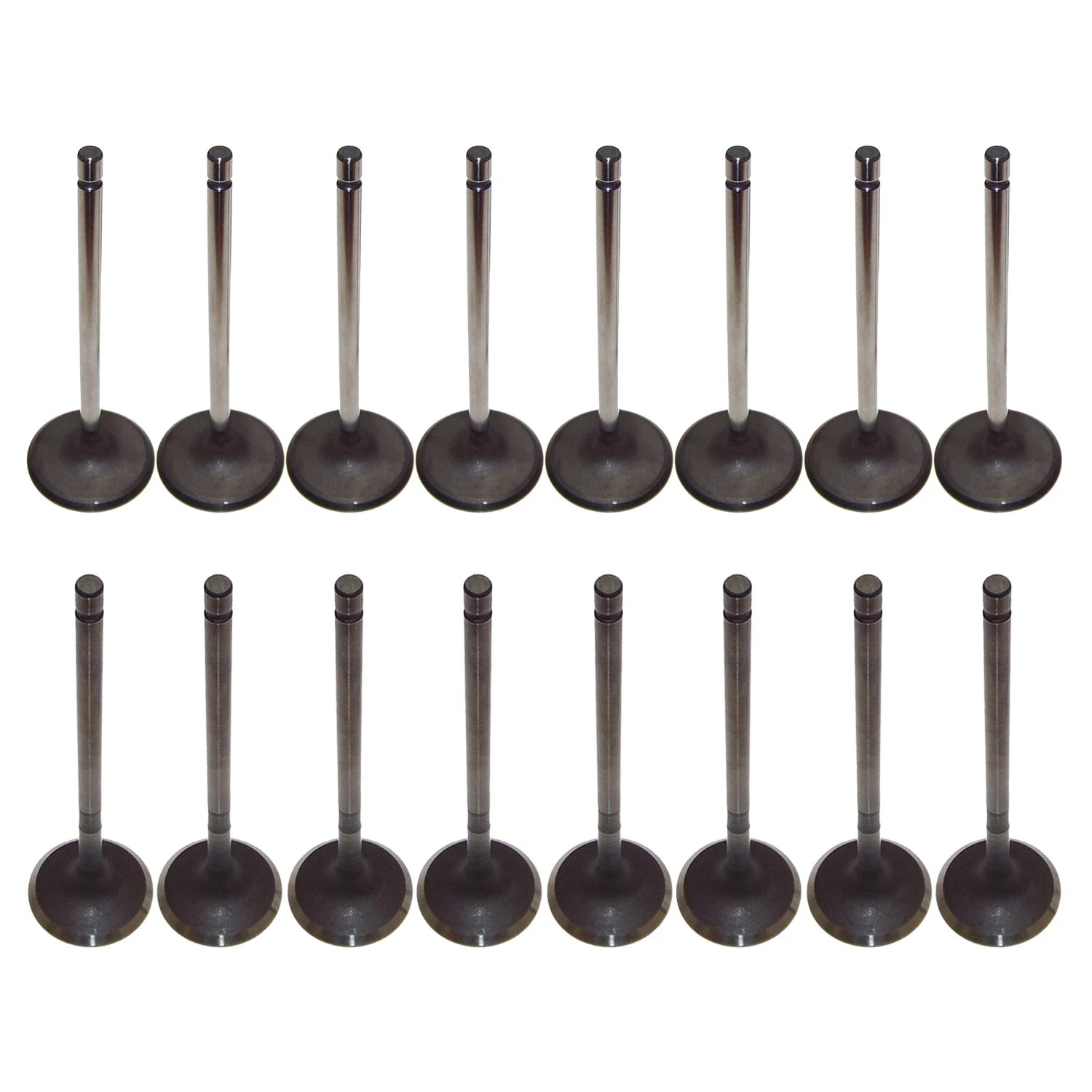 Set of 16 Intake & Exhaust Valves Kit for Avalon Camry Highlander RAV4 L4