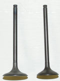 Engine Valve Kit for Honda TRX 300 / TRX-FW (1988–2000) 017-020