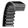 Set of 2 Belts for A-130724C91-AI (Fan, Alternator, Water Pump)