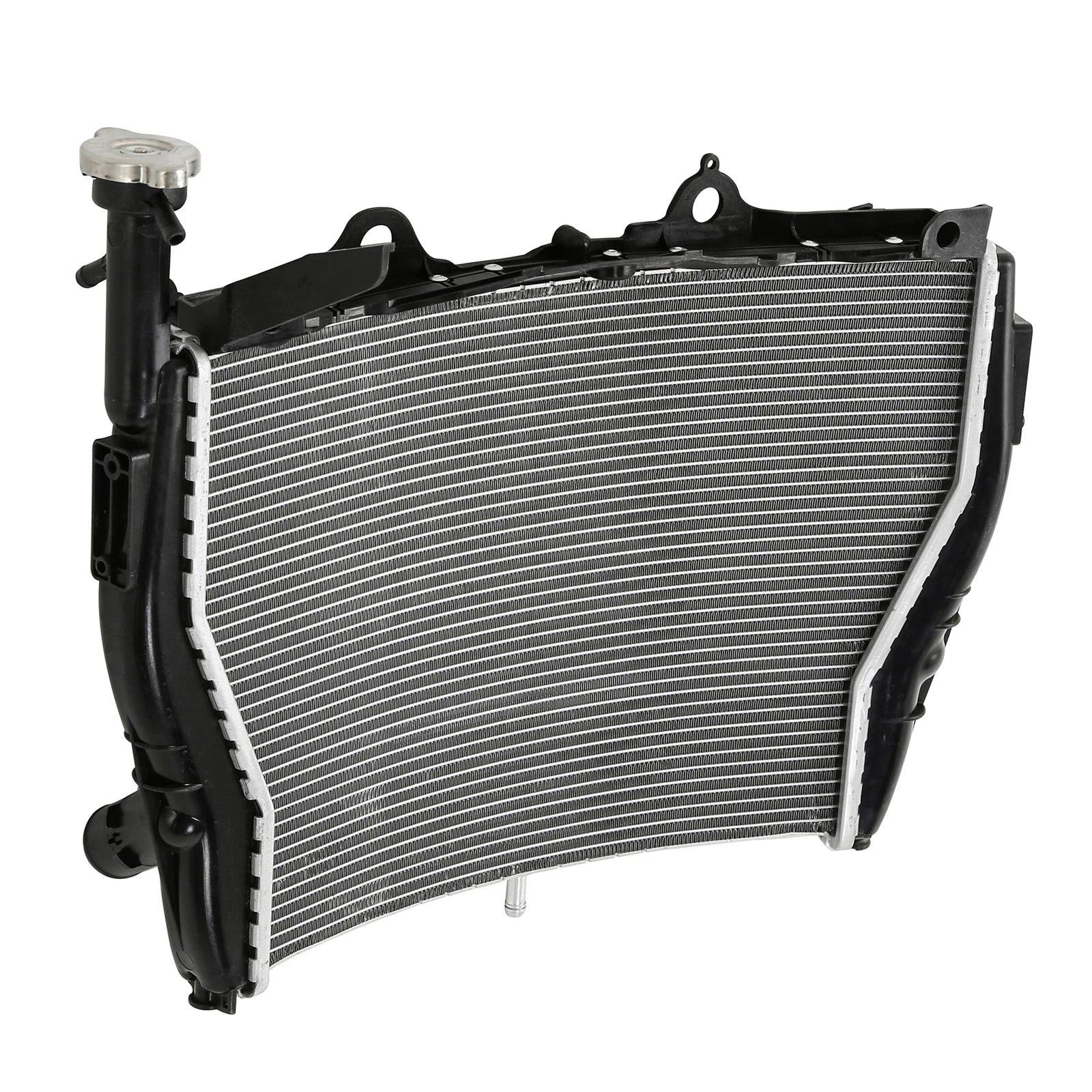 Engine Radiator Cooler for BMW S1000RR (2009–2018) HP4 RACE