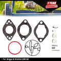 Carburetor Overhaul Kit for Briggs & Stratton Engine (696146)