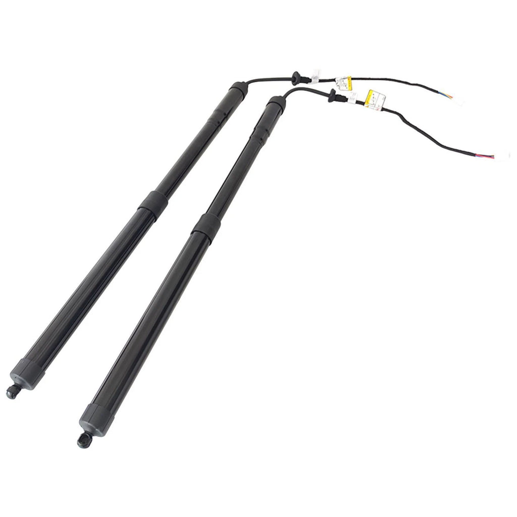 2X Rear Tailgate Lift Supports for Lexus RX350 (2016–2019)