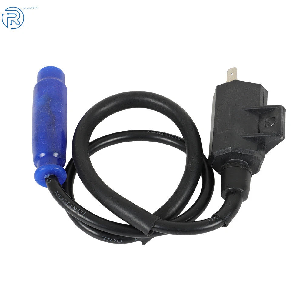 Ignition Coil and Spark Plug Set for Kawasaki Prairie 700 (2004-2006)