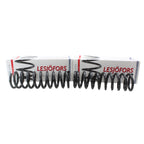 Front Coil Spring Kit for Buick (4112124)