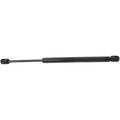 Set of 2 Lift Supports for Buick Rendezvous (2002–2007)