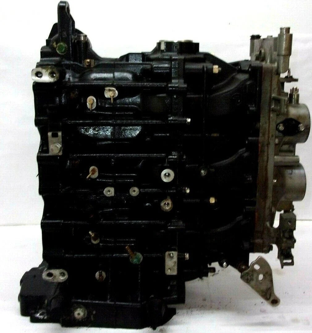 Evinrude Cylinder-Crankcase Assembly 5007398 for Evinrude 75-90HP (2008–2014)