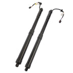 2Pcs Tailgate Lift Support for Hyundai Santa Fe (2013–2019)