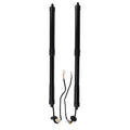 2X Tailgate Gas Strut for Lexus NX300 NX300H (2018–2019)