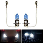 Fog Light Bulb 12V 453 Socket for