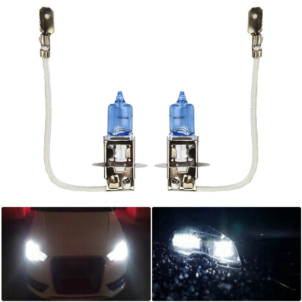 Fog Light Bulb 12V 453 Socket for