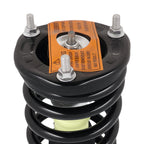 Pair Front Shocks Struts for Hyundai XG300 (2001) XG350 (2002–2005) 171364