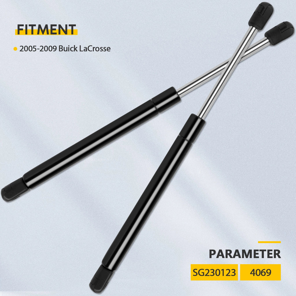 2X Rear Trunk Lift Supports for Buick LaCrosse (2005–2009)