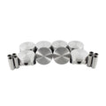 Piston Set for DNJ P3159 (2010–2015)