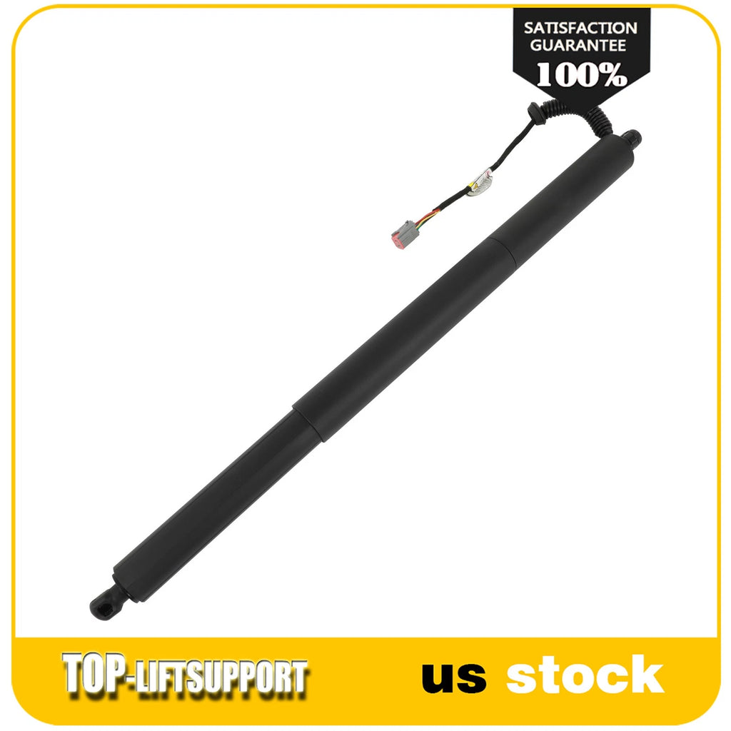 Liftgate Lift Support Shock Strut for Jeep Cherokee (2020)