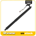 Liftgate Lift Support Shock Strut for Jeep Cherokee (2020)