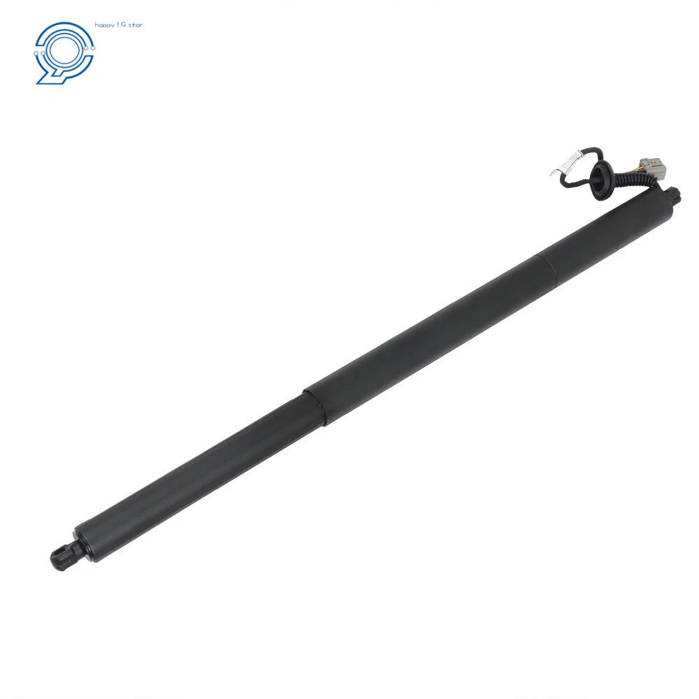 Set of 2 Rear Tailgate Lift Support Struts for Ford Escape (2013-2019)