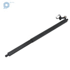 Set of 2 Rear Tailgate Lift Support Struts for Ford Escape (2013-2019)