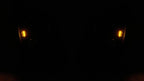 2X Halogen Headlight for Cadillac CTS (2008–2015) W/Bulbs