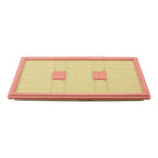 Air Filter for MANN C 43 139 (2760940004)