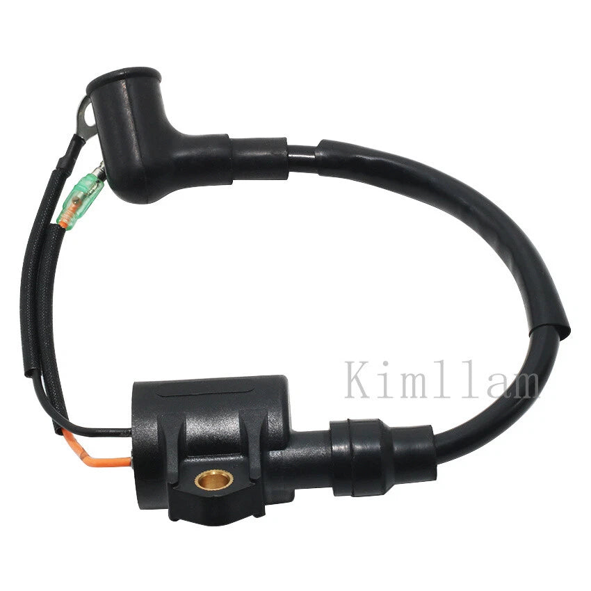 Ignition Coil for Yamaha Outboard 2HP 6A1-85570-00 (1995–2002)
