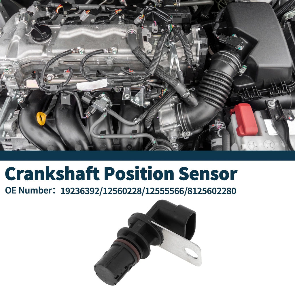 Crankshaft Position Sensor for Chevy Silverado 1500 (1999–2005) No.19236392