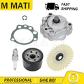 Oil Pump, Gear, Filter & Gasket for Yamaha Raptor 660R (2001–2005)