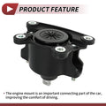 Engine Mount for Honda Accord 9th Gen CP2 (2008-2013)