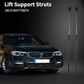 Tailgate Lift Supports Struts for BMW 5 Series E61 (2004-2010)