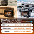 100Ah 12V Lithium Iron Phosphate Battery for RV Off Grid (Low Temp Protection)