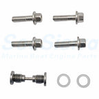 Seal Kit for Johnson Evinrude 150-250 Lower Unit Gearcase (5006373, 439141)