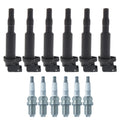 Set of 6 Ignition Coils & NGK Laser Platinum Spark Plugs for BMW E46 E60 E83 E53 (1998–2013)