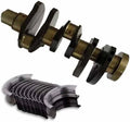 Crankshaft with Bearing 4270236 for Deutz F4L2011 BF4M2011 D2011 L04