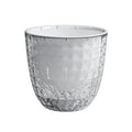 Transparent Self Watering Pot for Indoor Plants (Indoor Use)