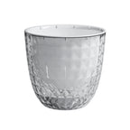 Transparent Self Watering Pot for Indoor Plants (Indoor Use)