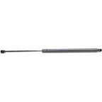 Lift Support for Nissan Quest (2004–2005) Driver or Passenger Side