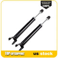 Rear Left & Right Pair Struts Gas Shocks for Nissan Maxima (2009–2018)