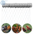 Galvanized Poultry Net for Chicken Fencing (USA)