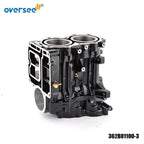 Block & Crankcase Assy for Tohatsu M18E2 (2Cyl 2 Stroke 18HP) 362B01100-3