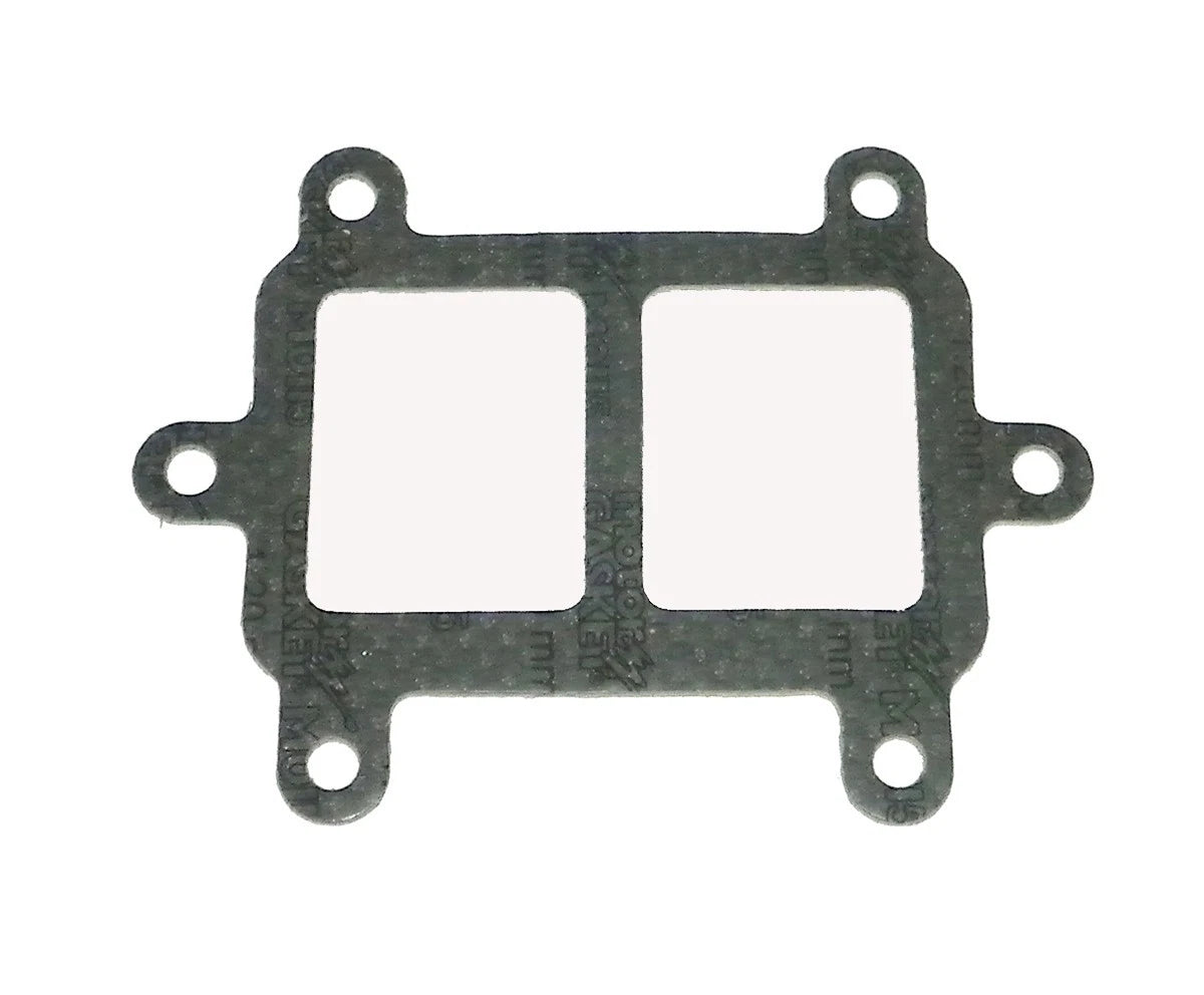 WSM Gasket for