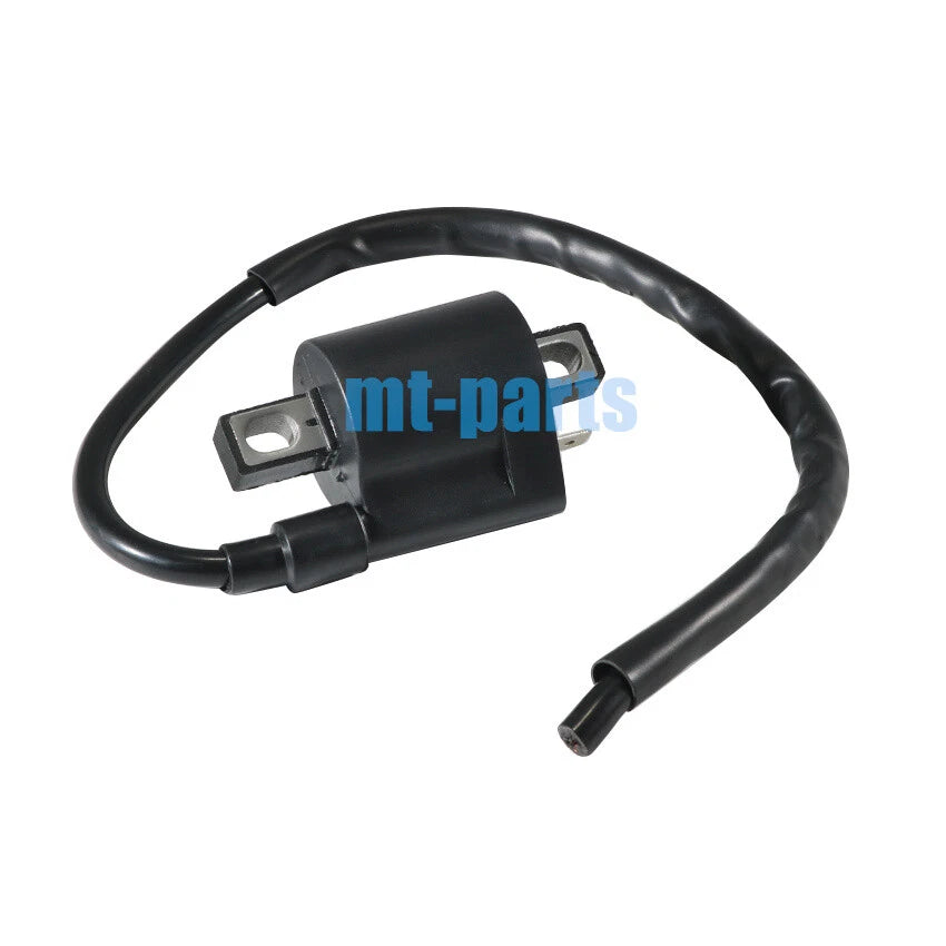Ignition Coil for Suzuki LTF250 QuadRunner 2WD/4WD (1988–2001)