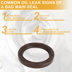 Front Crankshaft Oil Seal for Alfa Romeo Buick Encore (No. 1052A149)