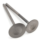 Intake & Exhaust Valves for Yamaha F200 F225 F250 (2000–2019)
