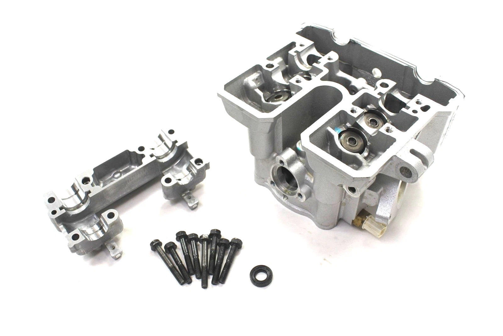 OEM Cylinder Head with Valves for Kawasaki KLX300 (2024) 11002-0262