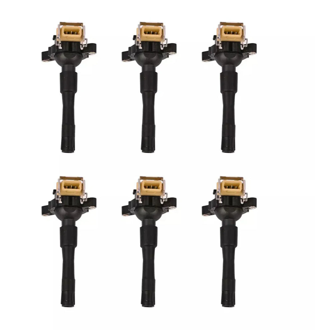 Set of 6 Ignition Coils for BMW 320Ci 320i 523i 528i 530i M3 X5 Z3 (2000-2006)