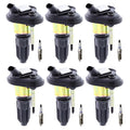 Set of 6 Denso Ignition Coils & Platinum Spark Plugs for Envoy Trailblazer (2002–2009)