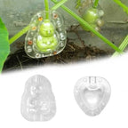 Heart Shaped Fruit Shaping Tool for Pears and More