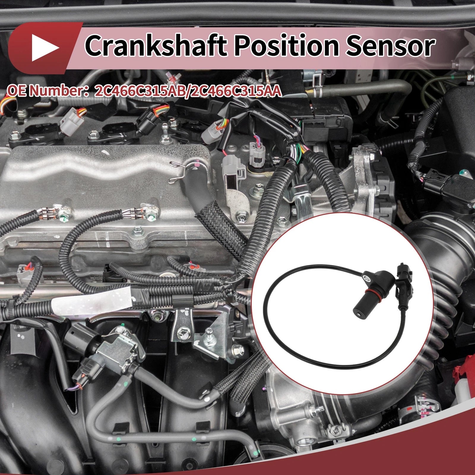 Crankshaft Position Sensor for Ford (No.2C466C315AB) 
