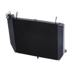 Radiator Cooler for Yamaha YZF R1 (2000–2001)